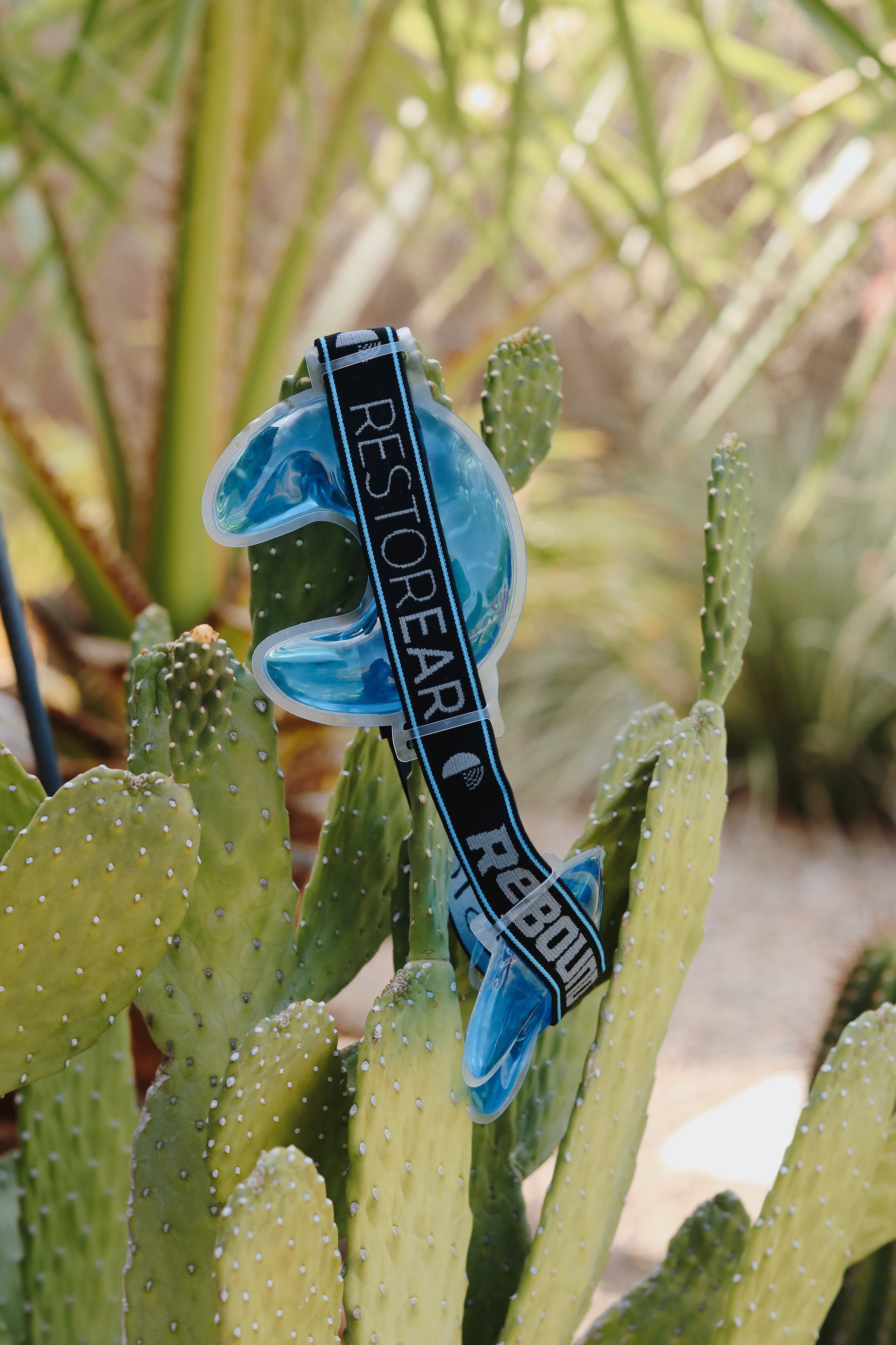 Using ReBoundLite this Summer