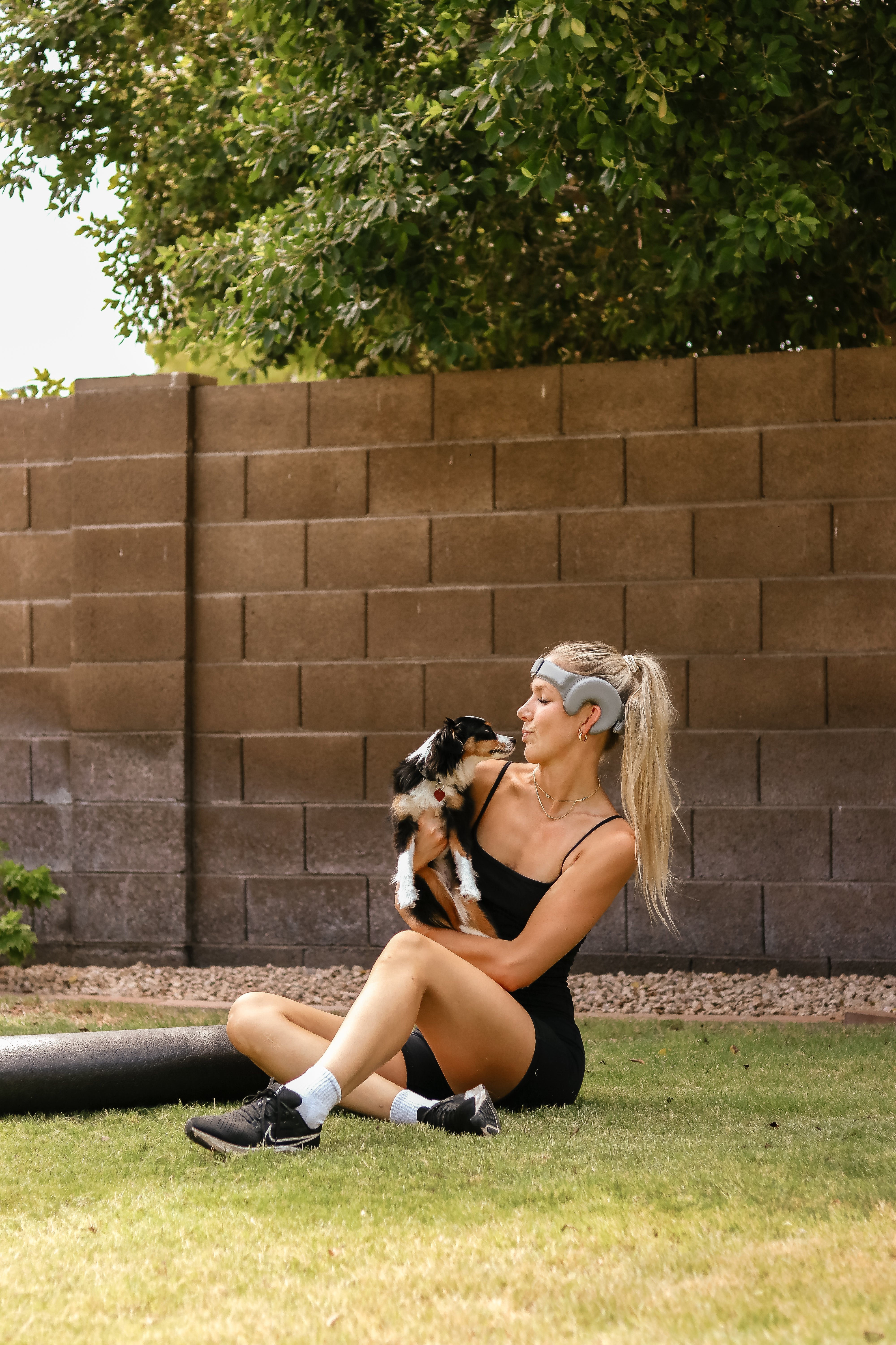 Protecting Man’s Best Friend: Why Canine Hearing Health Deserves More Attention